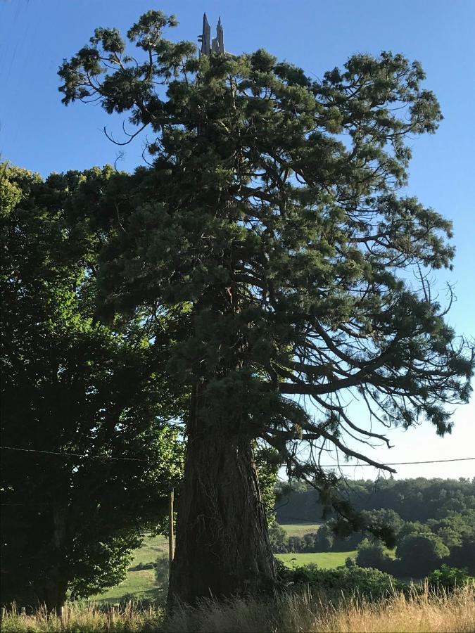 Le Cottage Du Sequoia Chamberet Екстер'єр фото